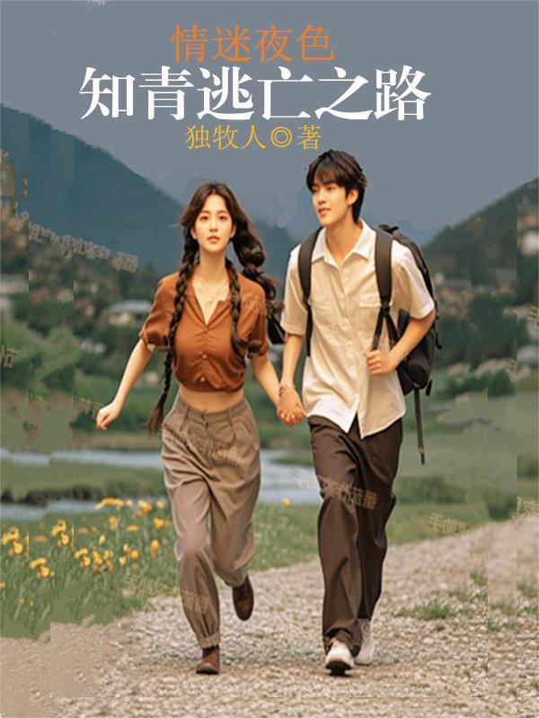 从龙珠改道火影的旅行路过了海贼