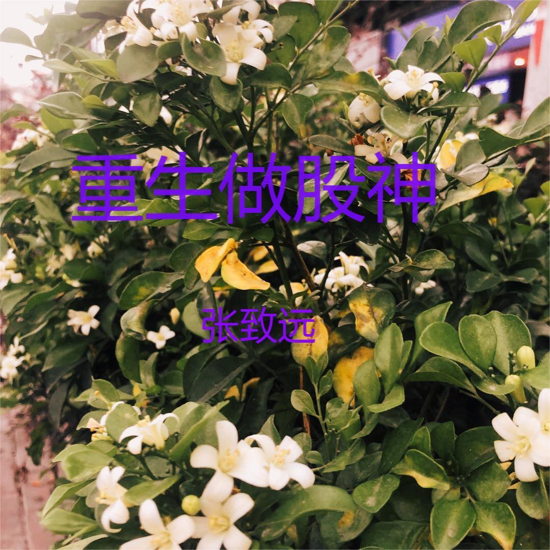 乐子人的游戏王空间