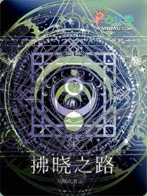 巫师之心