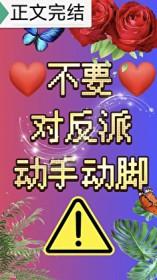 成亲后，残疾将军站起来了
