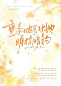 人在星界，我能兑换游戏模板