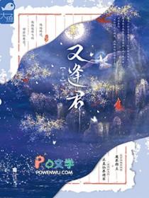 战双帕弥什之渡鸦