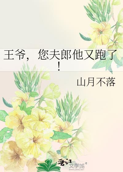 十九世纪换嫁情缘