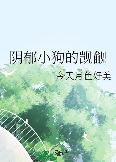 琴酒有对猫耳朵