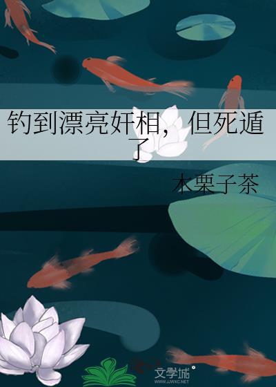 哈雷彗星伴我升维