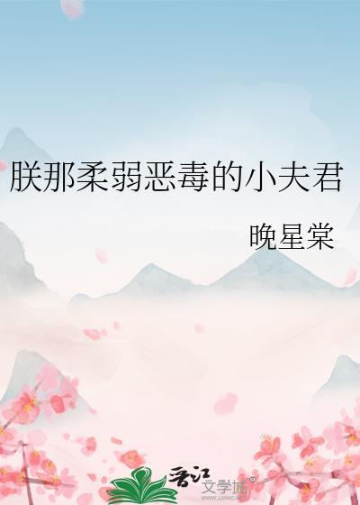 两个夫郎又如何?(女尊)