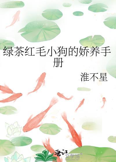 直球小夫郎