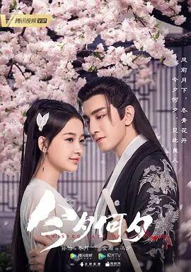 白麒麟的影子圣妻织田作