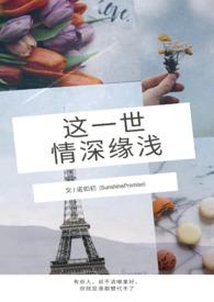 沉重的翅膀