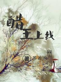 当夏荷绽放
