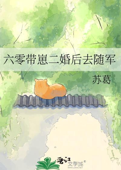穿越异时空之皇妃驾到