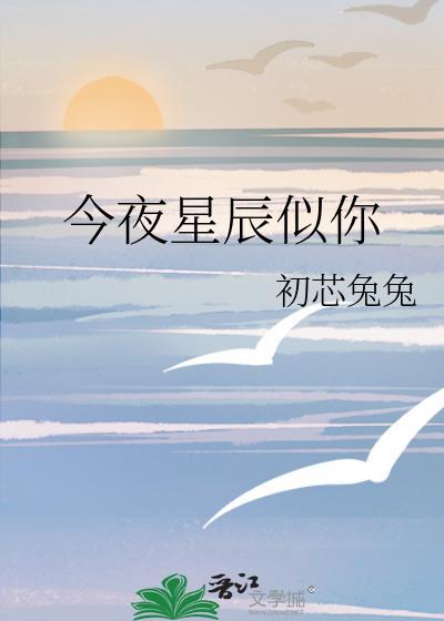 你来时盛夏