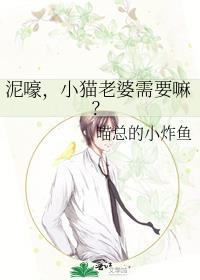 全面晋升［全息］