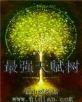 丘比特今天拆cp了吗