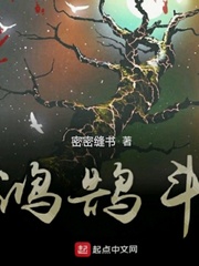 鸿鹄斗